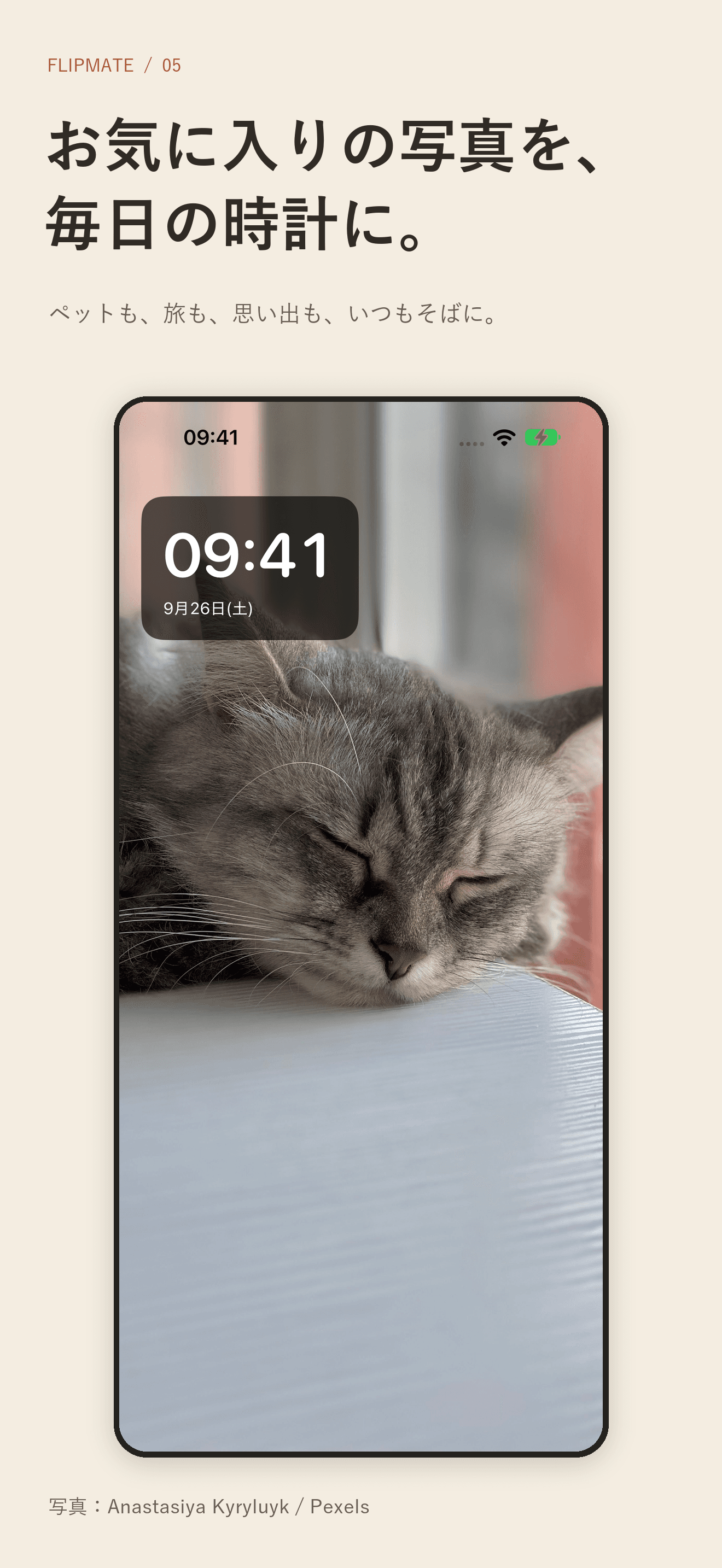 猫の写真を背景にした FlipMate の写真時計
