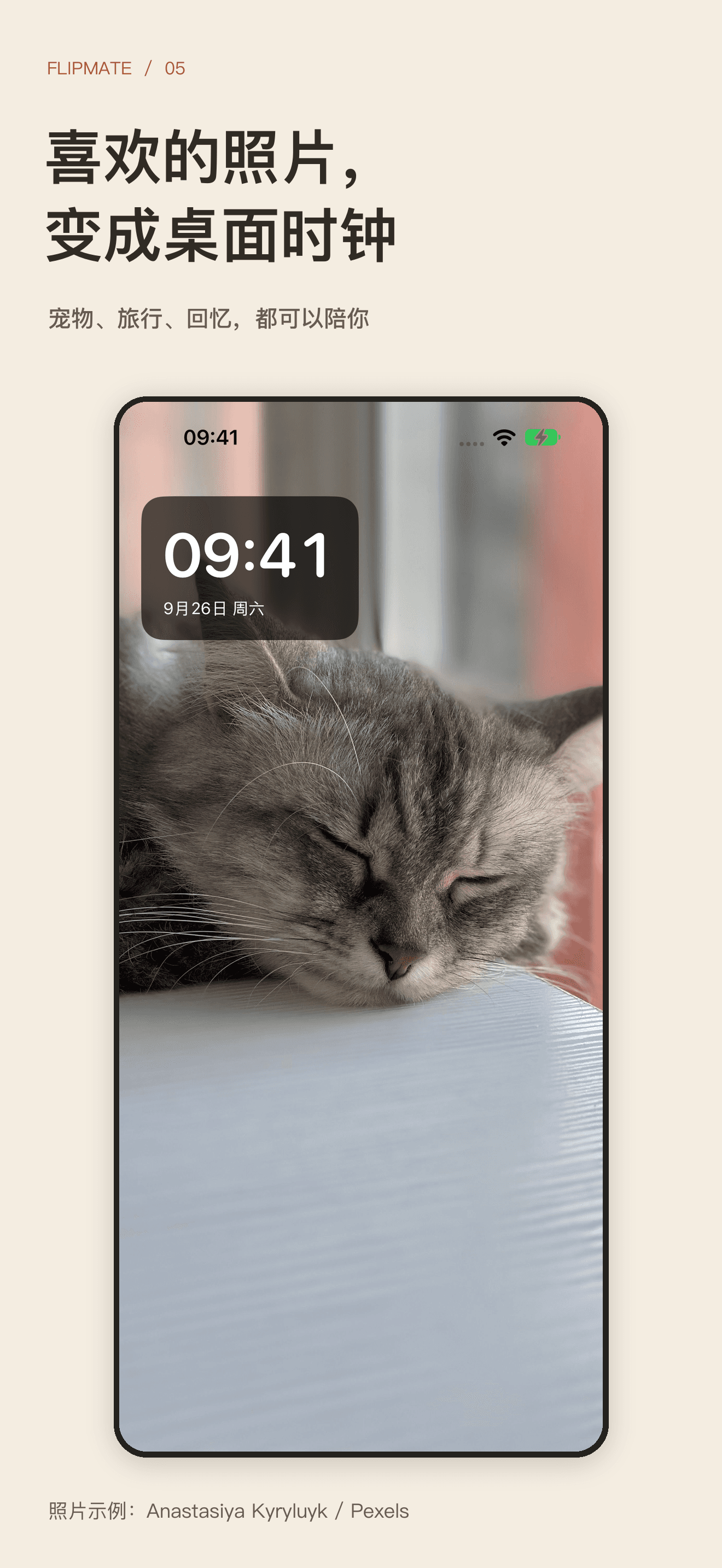 FlipMate 以猫咪照片为背景的照片时钟
